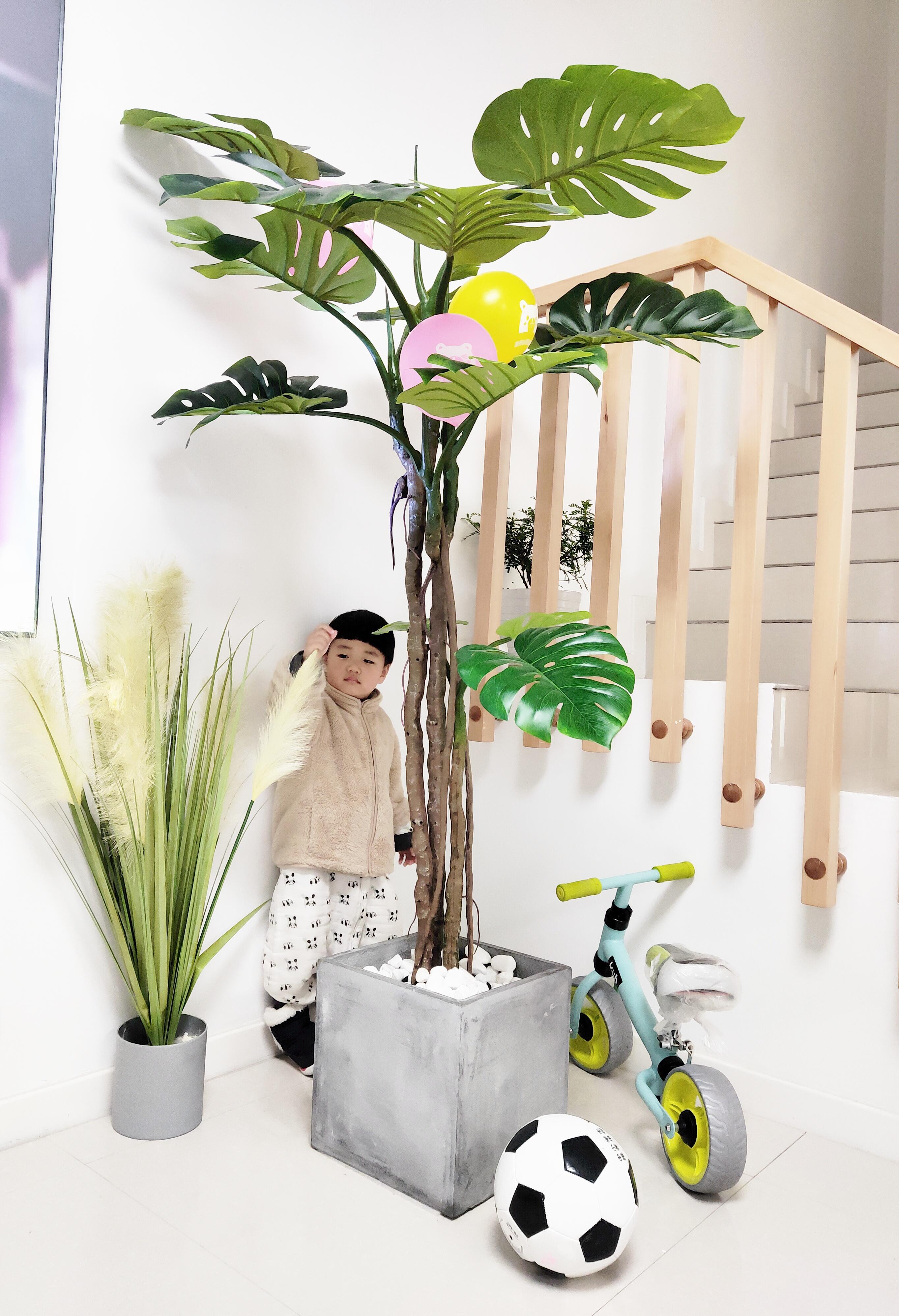 别墅院子维护与管理_别墅装电梯_联排别墅与大平层优缺点对比