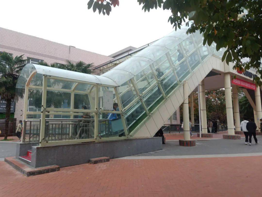 扶梯吃人事件频发，这10个保命细节你真的了解吗？